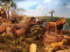 -陕西自然博物馆