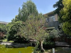 -成都安仁福朋喜来登酒店