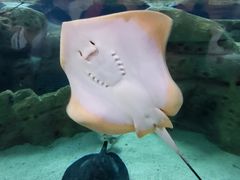 -珠海长隆海洋王国