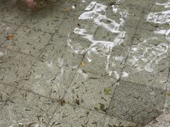 -碧水湾温泉