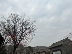-康百万庄园