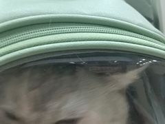 -瑞派宠物医院·犬猫全科·猫友好(宾水西道店)