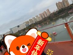 -青枫公园