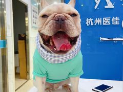 -萌兽医馆·宠物医院·猫骨科(创景店)