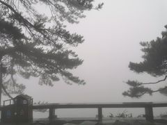 -庐山风景区花径公园