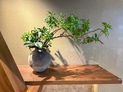 -阿嬷手作(深圳万象天地店)