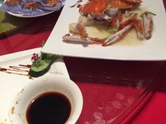 -碧丽宫大酒店(召稼楼店)