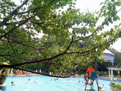 -菲鱼体育恒温游泳馆(中海名城店)