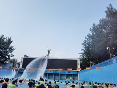 -欢乐水魔方水世界