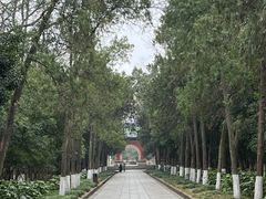 -灵谷景区