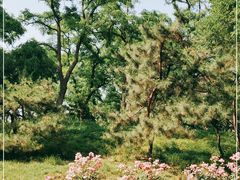 -元大都城垣遗址公园