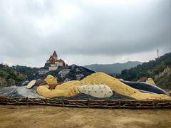 -彩色沙林风景区