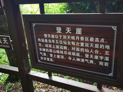 -五女峰国家森林公园