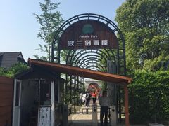 -金山农民画村-枫泾波兰倒置屋