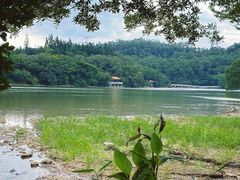 -深圳仙湖植物园