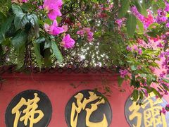 -成都南湖公园