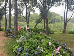 -无锡蠡湖国家湿地公园-蠡园