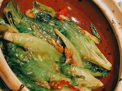 粤式虾膏啫生菜-尚一汤 广东炖汤(金桥国际店)