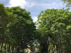 -苏州河梦清园环保主题公园