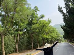 -养马岛旅游度假区