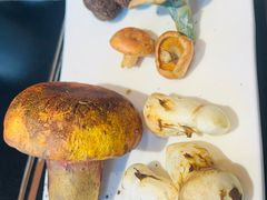 -野菌皇海景野生菌火锅(滨海大道店)
