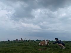 -芦芽山旅游度假区
