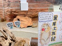 -正佳雨林生态植物园