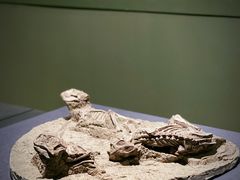 -遇见博物馆(遇见海洋沉浸式奇幻光影展)