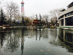 -济南南郊宾馆
