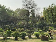 -盆景园(扬州大运河文化旅游度假区)