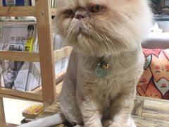 -小时光咖啡馆(开森度假森林店)