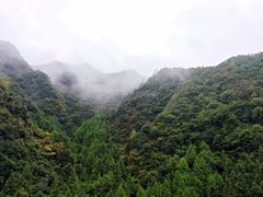 -楠溪江风景名胜区