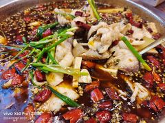 -乡土特色.冷锅鱼.牦牛肉汤锅