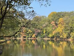 -紫金山山顶公园