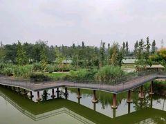 -白鹭湾湿地公园