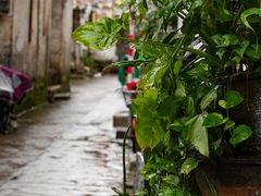 -胜记菜馆(文明路)
