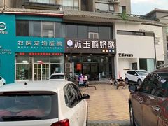 -苏玉海苏记奶酪