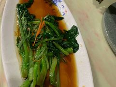 菜心-渡海小渔村.老辈日照菜