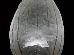 android_upload_pic-上海琉璃艺术博物馆