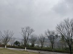 -金海湾滨江公园