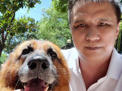 -伟伟宠物医院·CT影像中心·瑞派犬猫综合性门诊(汉口总院)