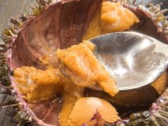 -红叶日料·放题·海胆·定食(星海店)