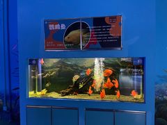 -沙沙哗啦海洋馆(华宇百花谷店)