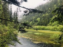 -九寨沟-树正沟