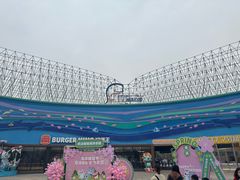 -海合安武汉极地海洋公园