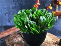 -手选潮汕鲜牛肉火锅(二七广场店)