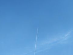 -昆山城市生态森林公园