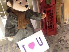 -济州岛泰迪熊博物馆