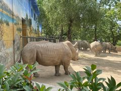 -西安秦岭野生动物园