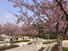 -新江湾城公园